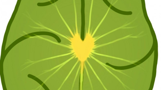 Brave Enough 2024, How to Weed Out the Unimportant and GROW with Vitality