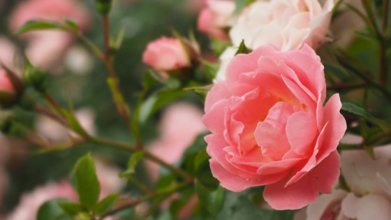 Tunnetyöskentelytaidot