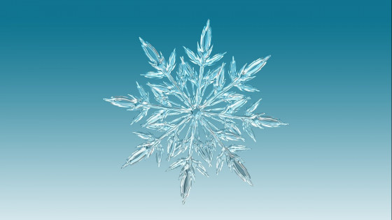 Crafty Christmas: easy paper snowflakes and stars