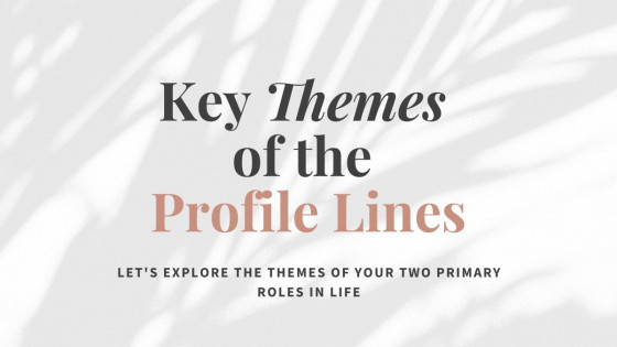Key Themes of the Profile Lines