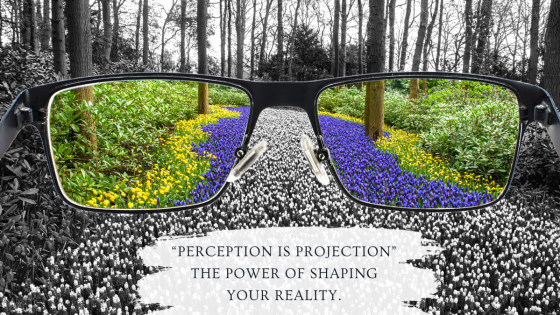 "Perception is Projection"