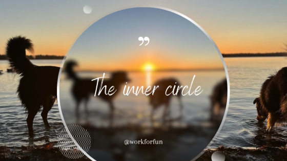 💫The inner circle