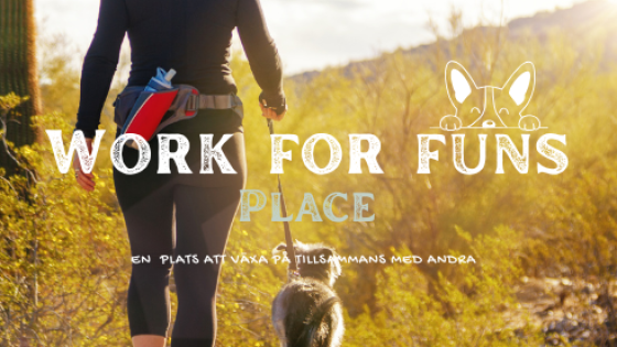 Work for funs Place