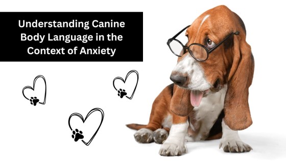 Understanding Canine Body Language: A Guide for Dog Guardians