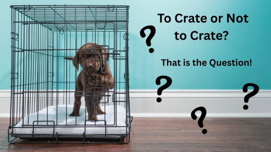 To Crate or Not to Crate?