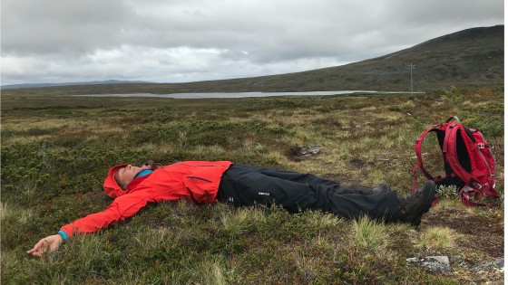 Din intelligenta kropp