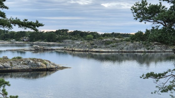 Gryningsljus - en nattlig betraktelse