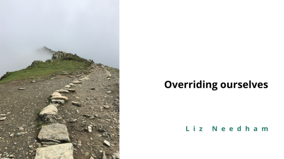 Overriding ourselves