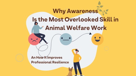 Why Awareness Is the Most Overlooked Skill in Animal Welfare Work