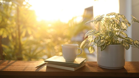 How affirmations become part of you