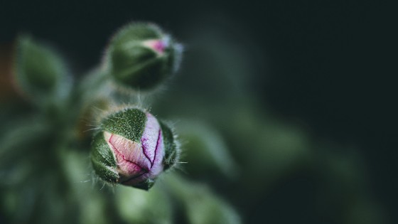 Scarcity thinking was holding me back