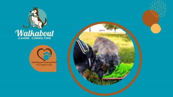 "No" - A positive interrupter