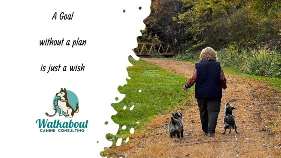 Navigating Canine Behaviour Challenges