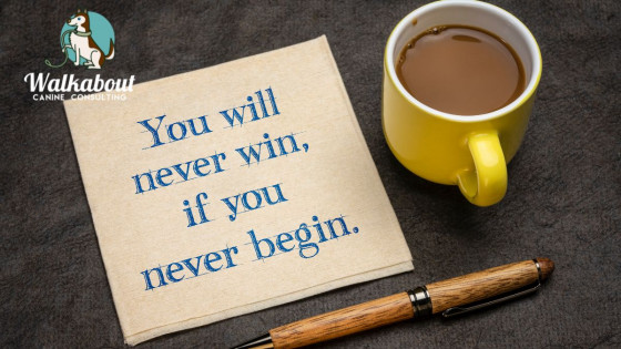 Begin Training Your Dog Today!