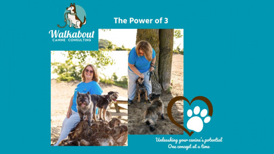 Reinforcement and its power