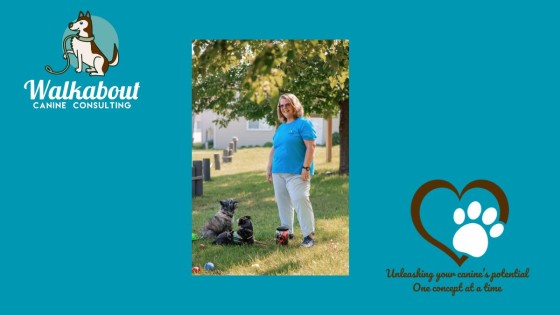 The Power of Positive Reinforcement: Building Relationships, Confidence, and Joy