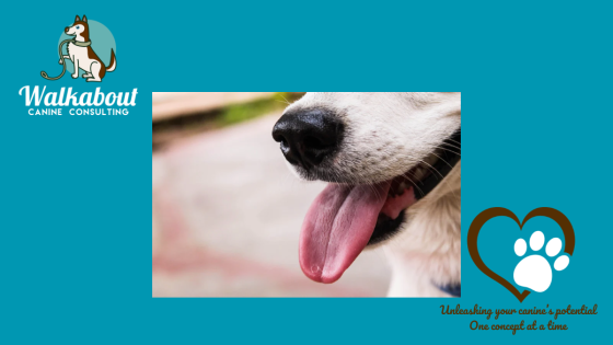 Who are doing this for?