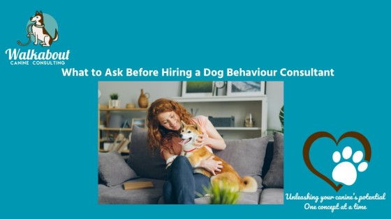 What to Ask Before Hiring a Dog Behaviour Consultant