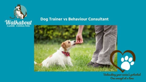 Dog Trainer vs Behaviour Consultant