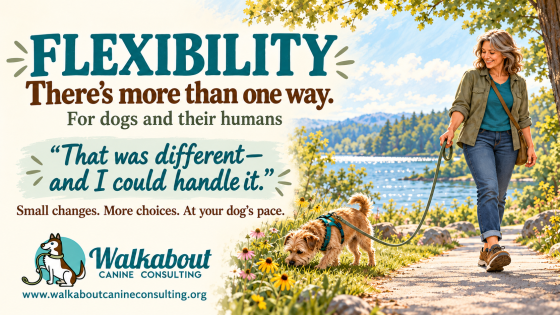 Flexibility for Dogs and Humans