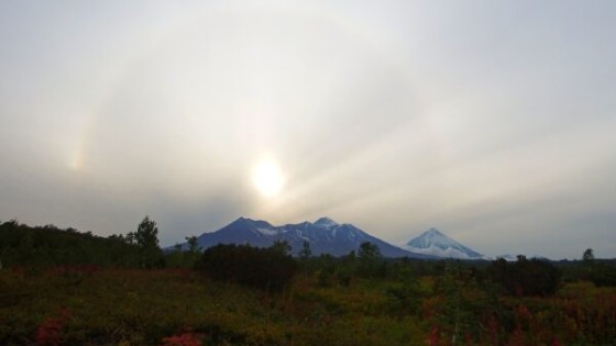 A Beginner's Guide to Cash Flow Forecasting