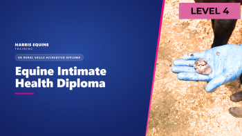 Equine Intimate Health Practitioner Diploma