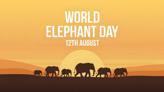 Memory Like an Elephant? Celebrating World Elephant Day with Teaching, Learning and Leading the Herd