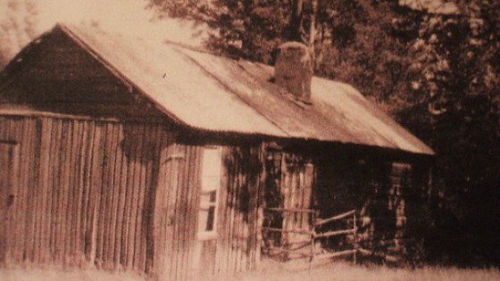 Ur arkivet: Ett kvinnoliv mellan Järvsö och Amerika