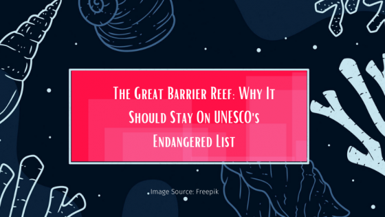 The Great Barrier Reef: Why It Should Stay On UNESCO's Endangered List