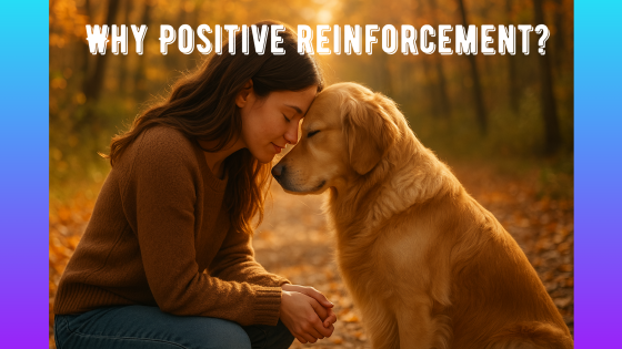 Why Positive Reinforcement?