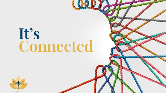 It's Connected