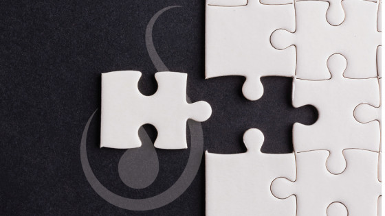 Lights, Camera, Engagement: Integrating Video into Your Overall Marketing Strategy