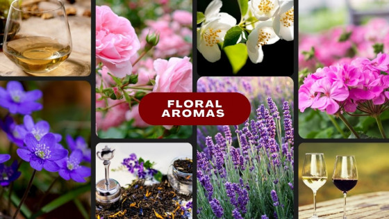From Petals to Palate: Demystifying Floral Aromas in Wines