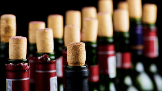 How to Prevent Wine Oxidation at Home?