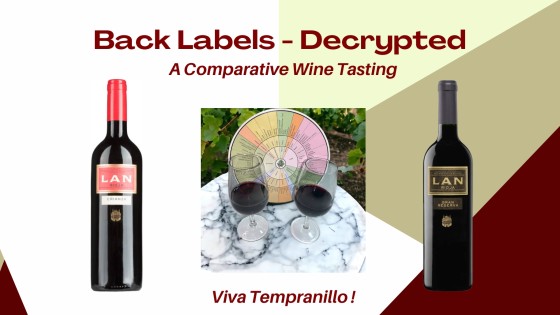 A tutored wine tasting of two Rioja Tempranillo: Discover our Tasting Notes