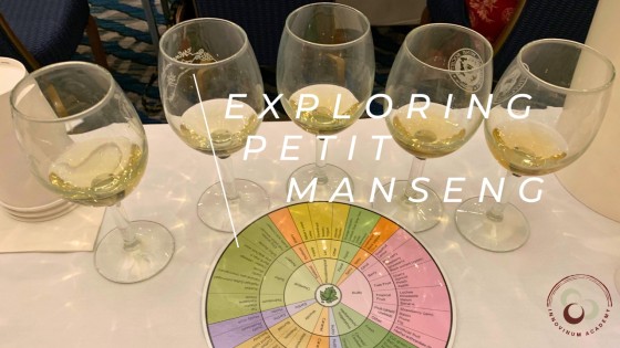 A Sensory Dive into Petit Manseng