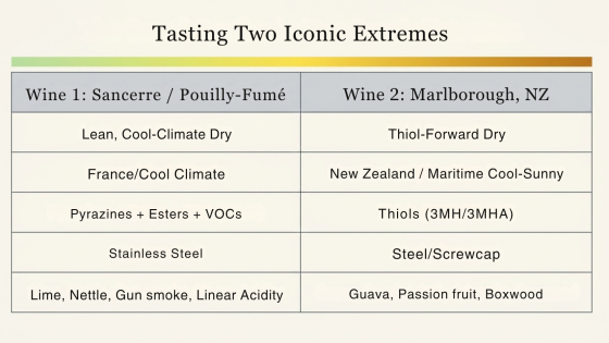 Connecting Sensory Perception and Wine Knowledge for Sauvignon Blanc
