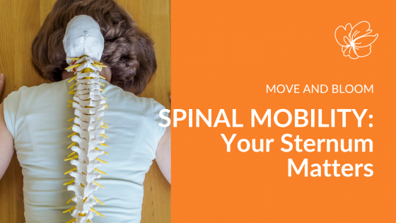 The Secret to Thoracic Spinal Mobility