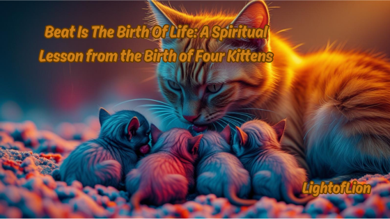 Beat Is The Birth Of Life: A Spiritual Lesson from the Birth of Four Kittens