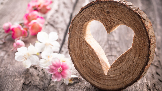 Travail de Byron Katie : ce que j'♡ dans cette démarche