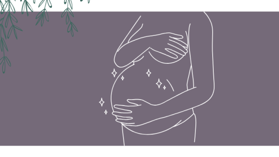 5 Baby Feeding Essentials Every Parent and Birthworker Should Know