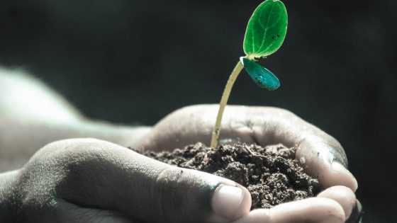 What is life? A Bizarre Reality, But How?