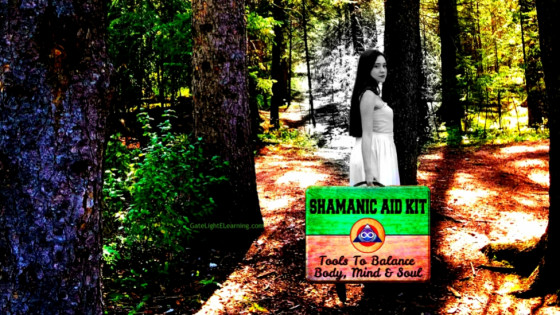 Why should you do a Shamanic Journey?