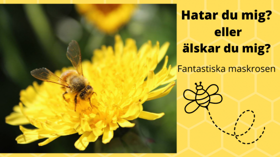 Hatar du mig eller älskar du mig?