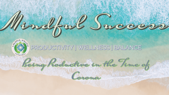 Productivity in the Time of Corona