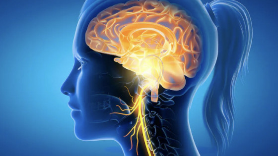 Lyssna med hörlurar, stimulera Vagusnerven