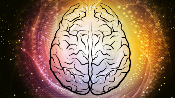 Gongljudets påverkan på vår hjärna