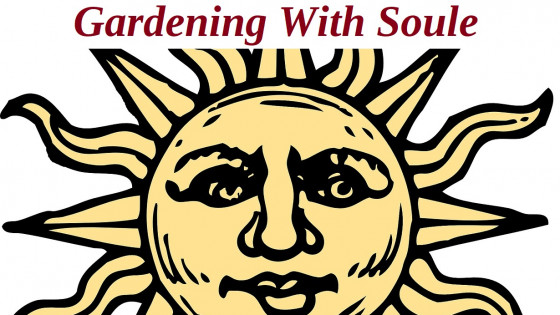 Welcome to the Land of El Sol