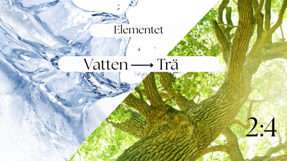 Elementet Vatten - trä (sen vinter) 2:4