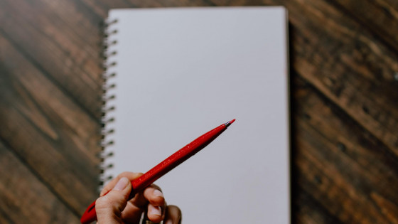 Do you need a Writer or an Editor?